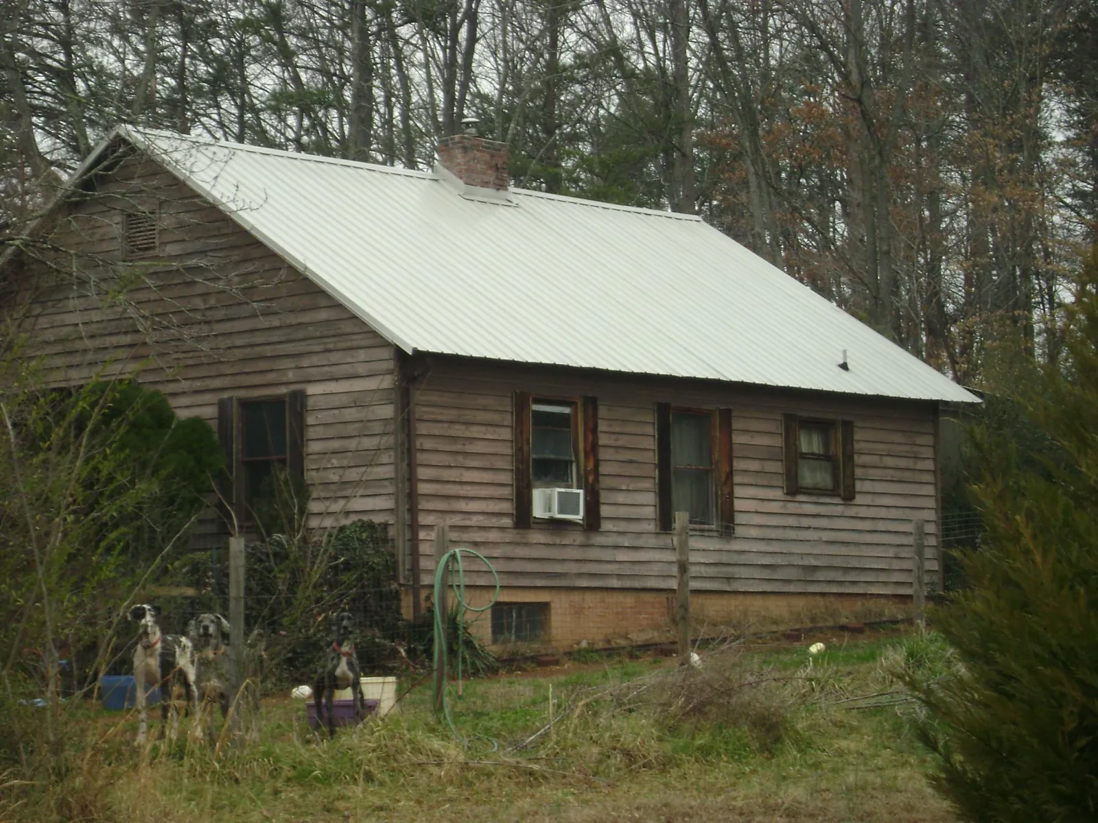 White metal roof on an old wood sided farmhouse, from a Asphalt Shingle Roof Repair job in Constantine